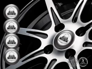 Car Rim Decal Brand Racing Apex X